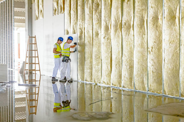 Insulation Replacement Services in Cache, OK